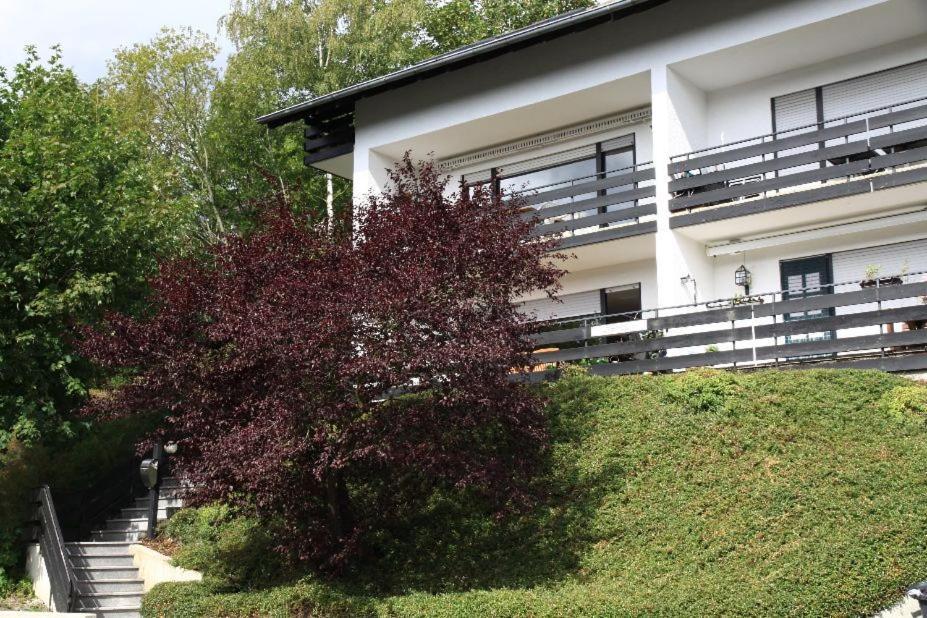 Appartement Maya Winterberg Exterior foto